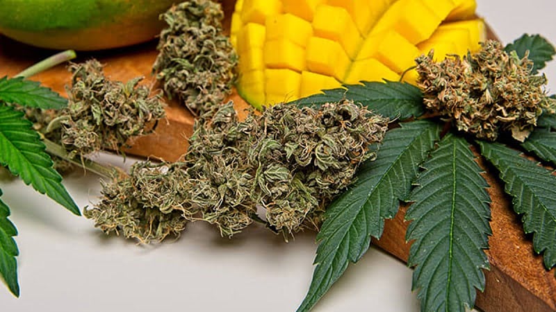 imag of hemp leaves and buds with fruits on a wooden tray