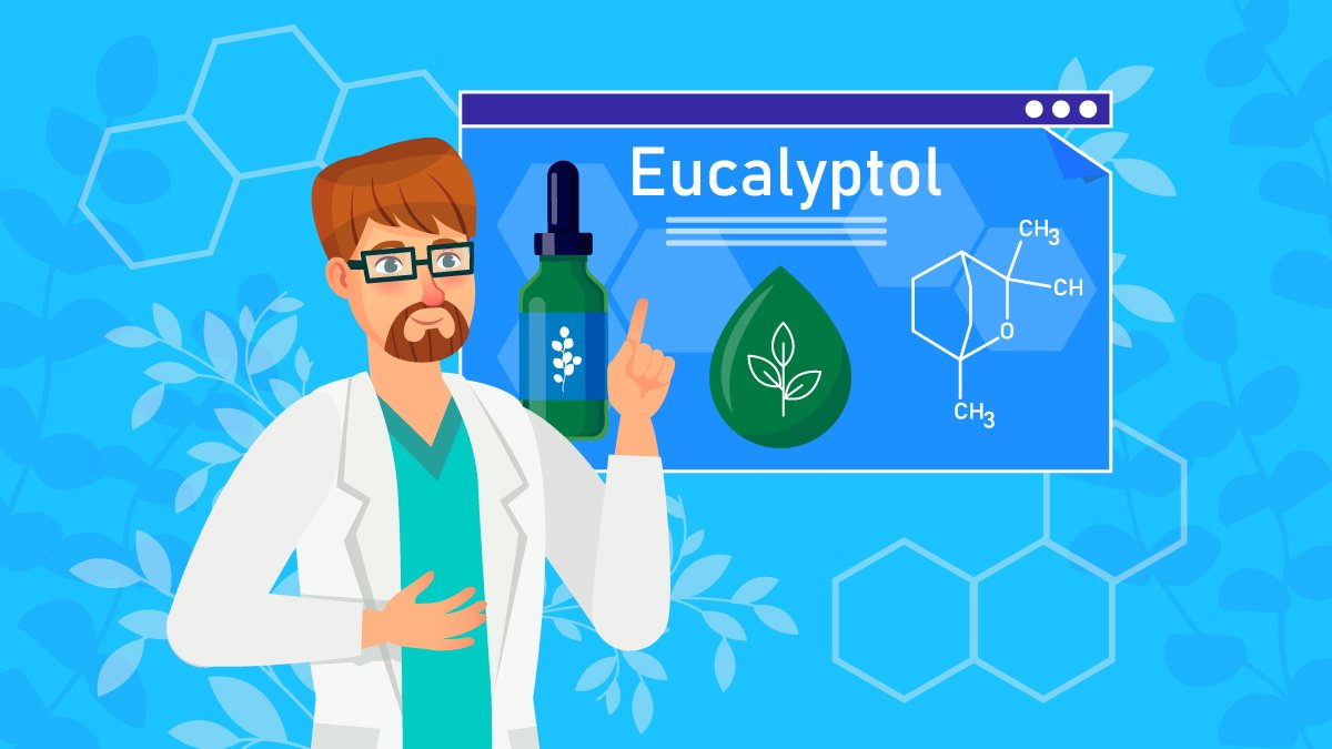 What Is Eucalyptol? Benefits & Effects Of This Cannabis Terpene