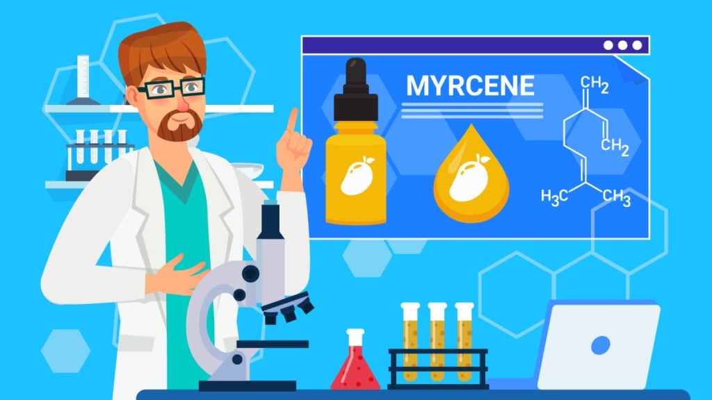 Illustration of a scientist talking about Myrcene terpene strain
