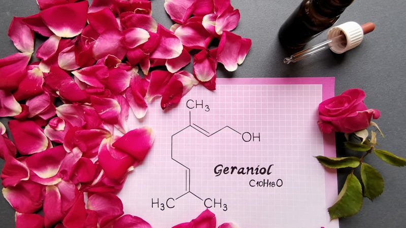 Geraniol Chemical Formula with Petals of Rose and Oil